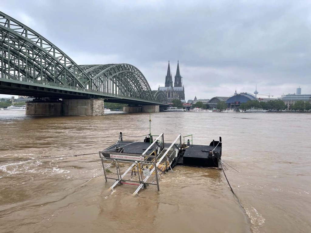 hochwasser am rhein in köln