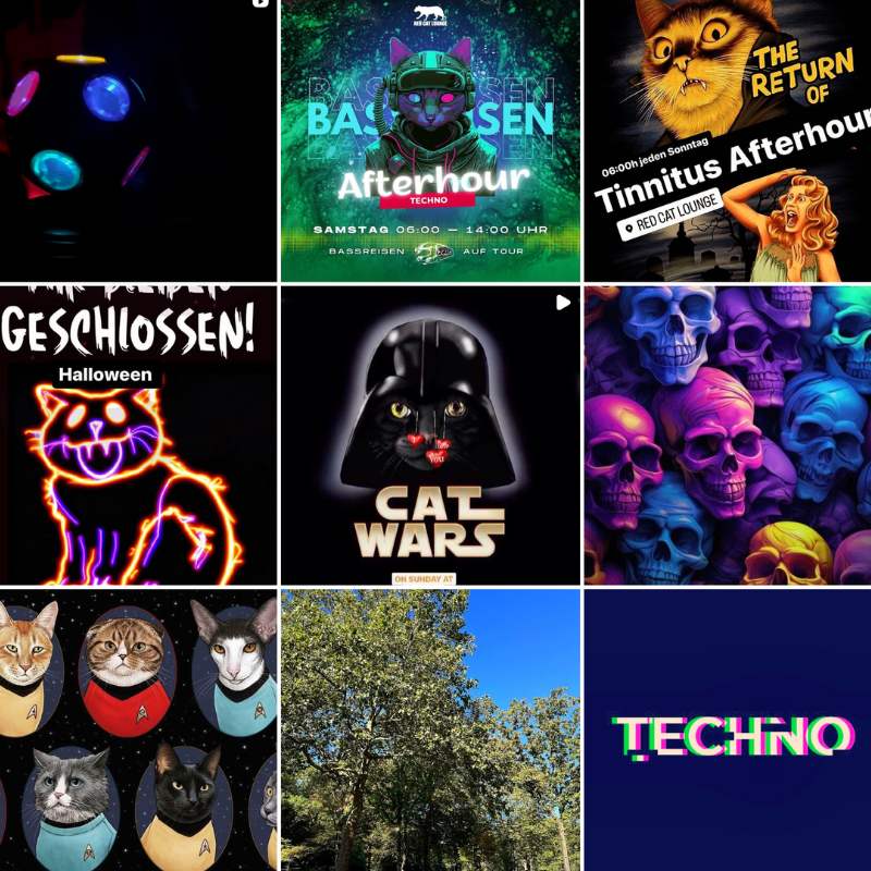 Red Cat Lounge, Club in Köln