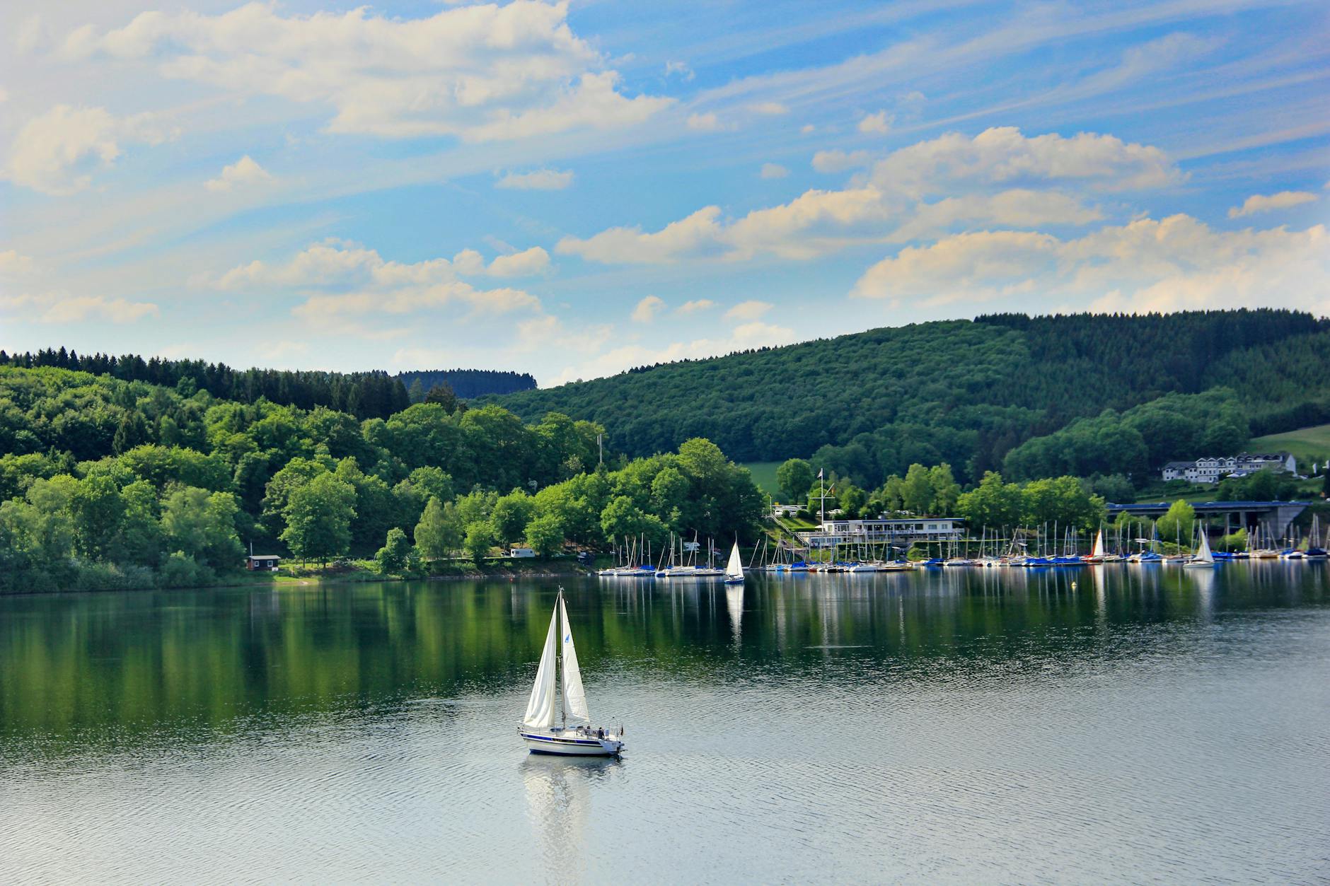sailboats on lake in summer