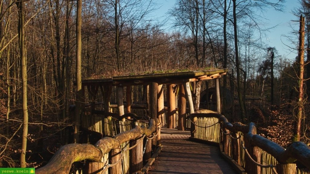 Noch kahle Bäume und viel Licht in der Eifel Foto: stock.adobe.com/Oliver