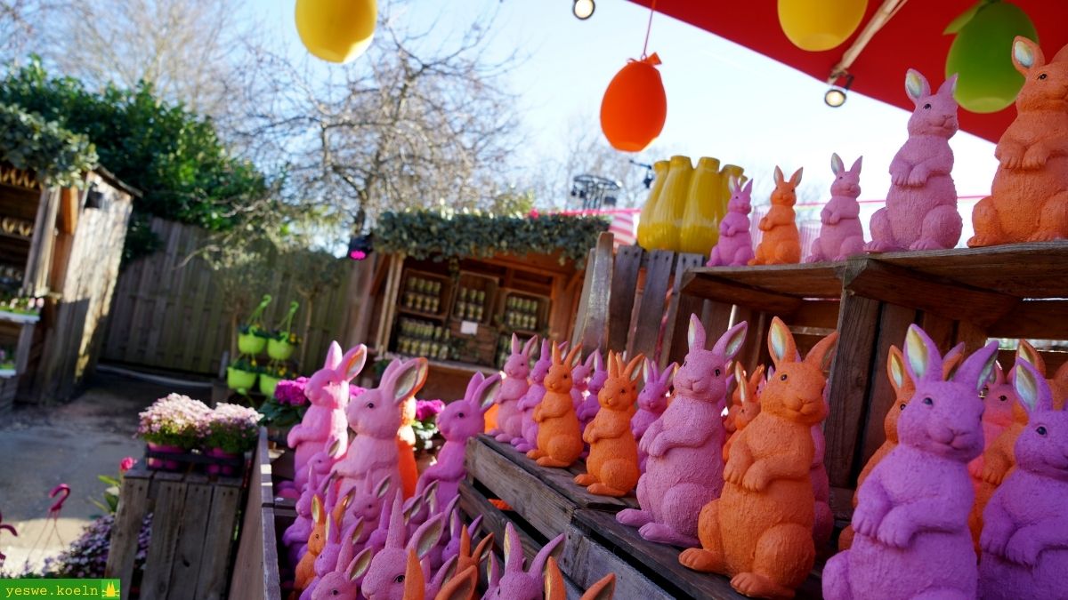 Warum man auf dem Gertrudenhof aktuell Frühlingsgefühle bekommt