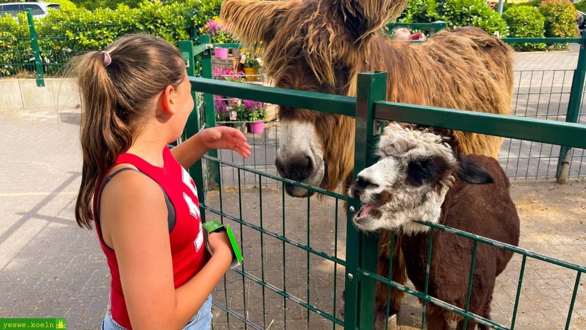 Der Sommerpark Gertrudenhof 2026