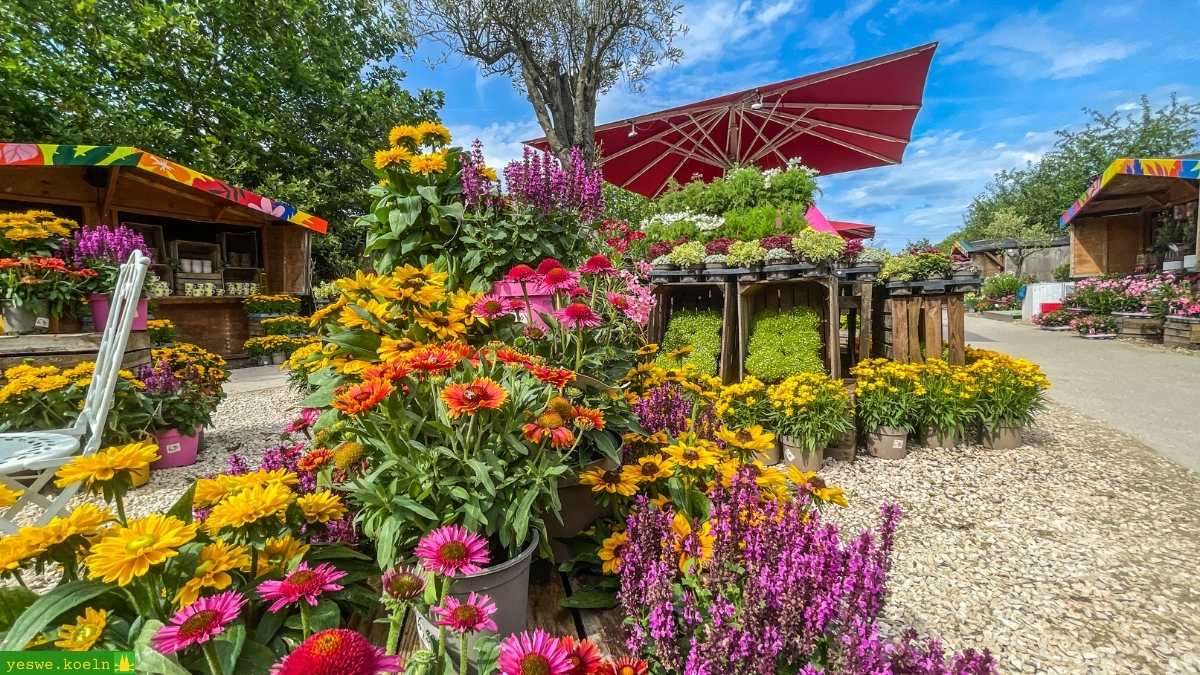 Der Sommerpark Gertrudenhof 2026