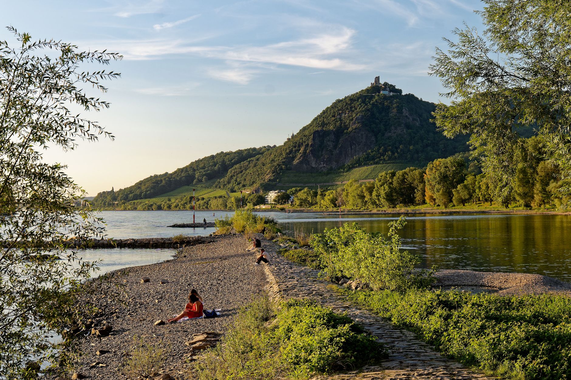 sommerabend am rhein